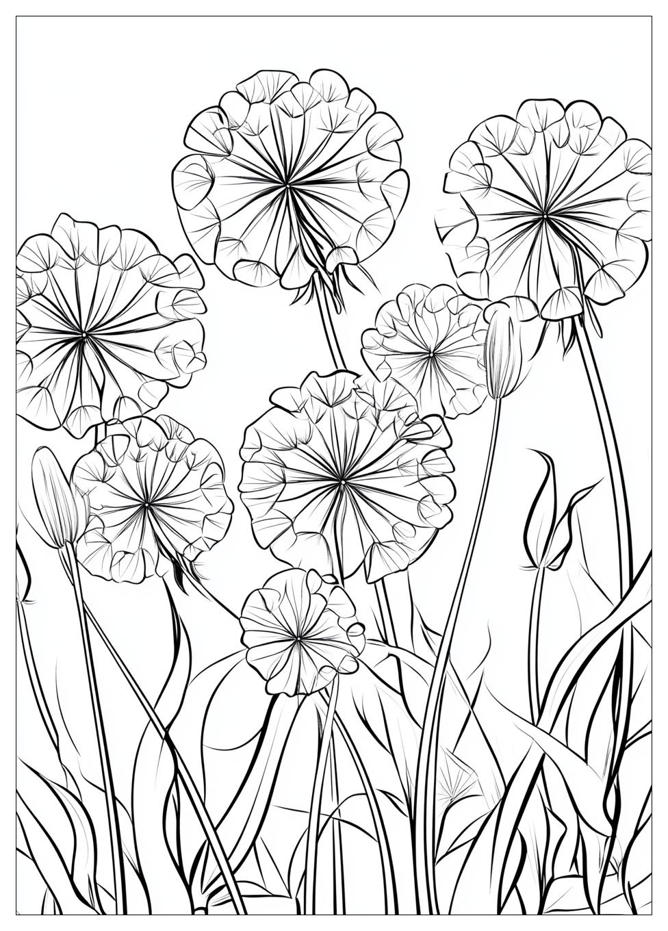 dandelion_coloring_pages_17