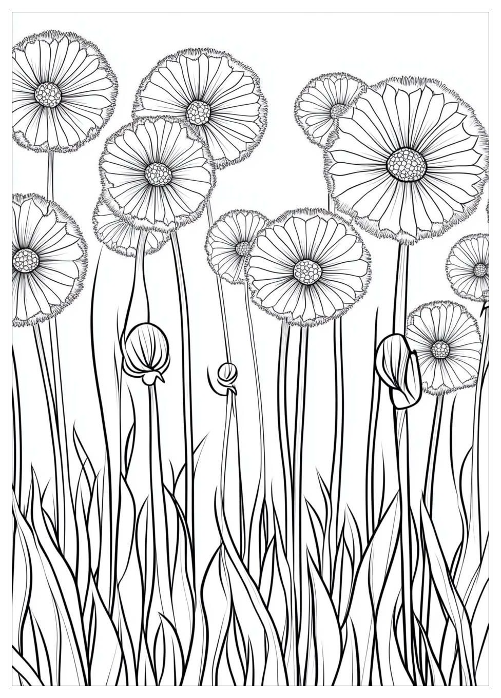 dandelion_coloring_pages_18