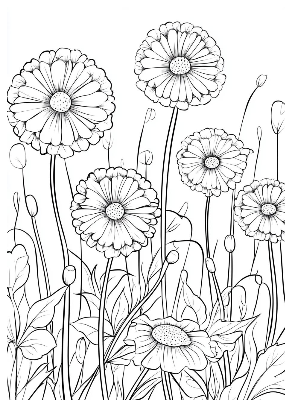 dandelion_coloring_pages_2