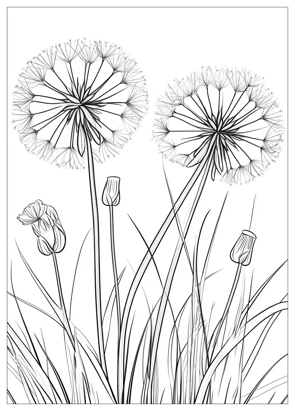 dandelion_coloring_pages_23