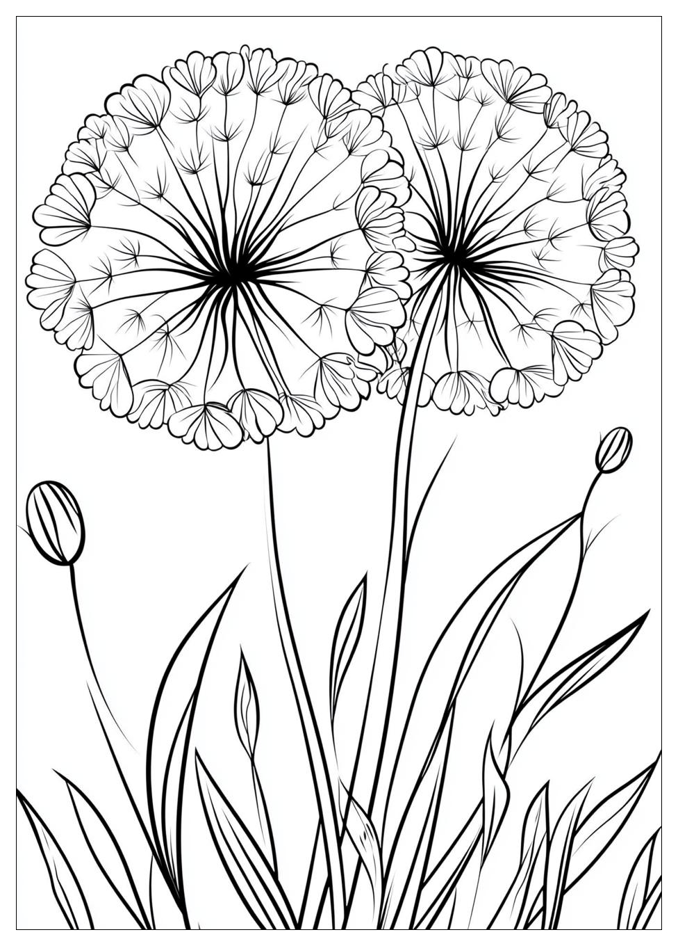 dandelion_coloring_pages_3