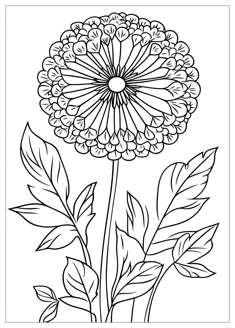 dandelion_coloring_pages_5