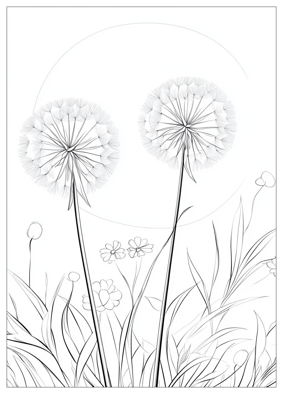 dandelion_coloring_pages_6