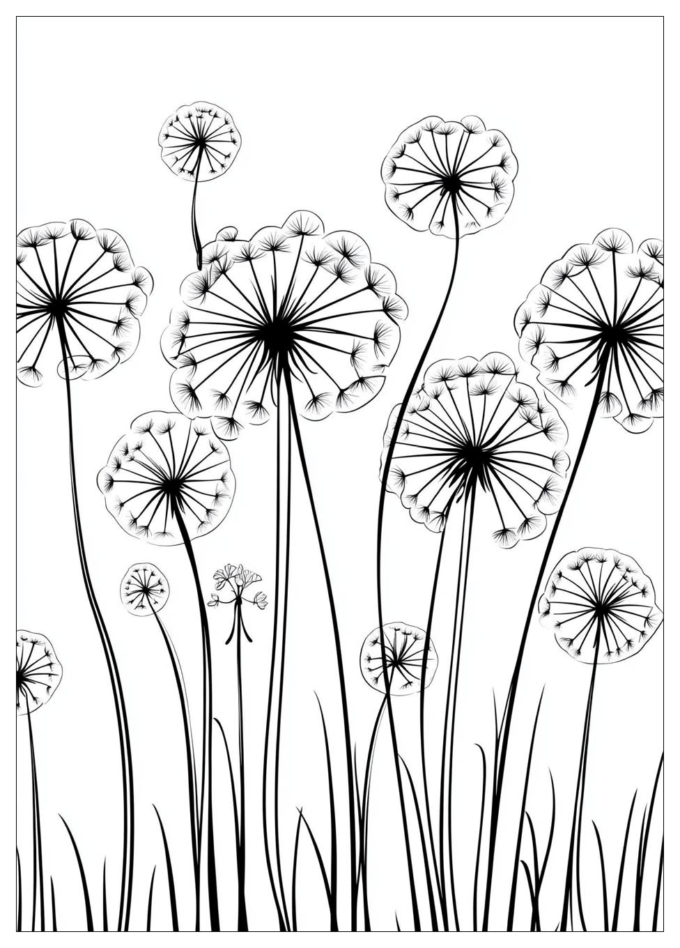 dandelion_coloring_pages_7