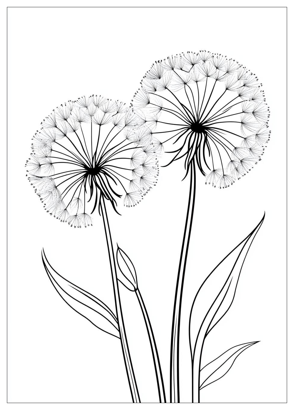 dandelion_coloring_pages_8