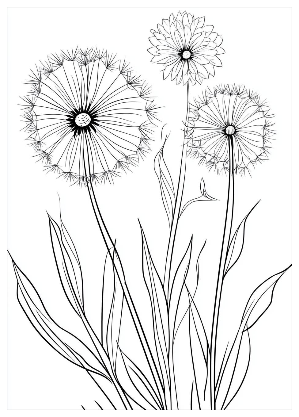 dandelion_coloring_pages_9