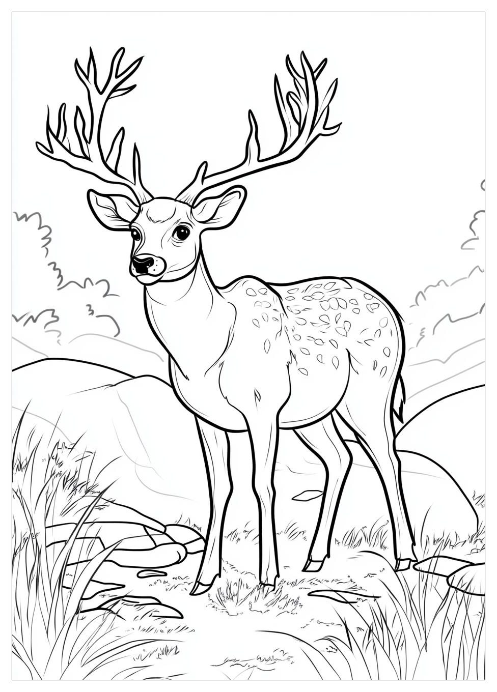 deer_coloring_pages_1