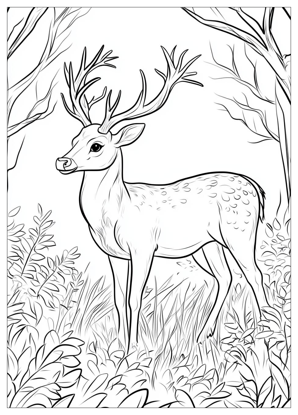 deer_coloring_pages_12