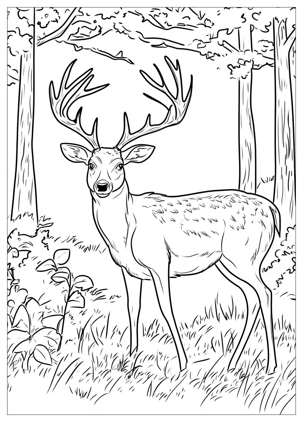 deer_coloring_pages_13