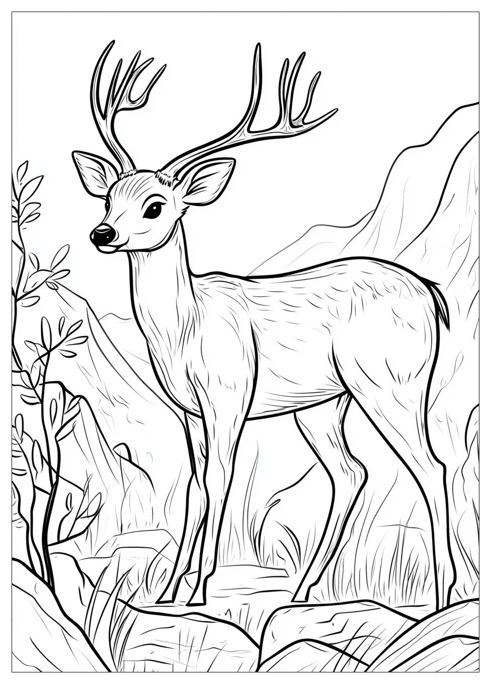 deer_coloring_pages_14