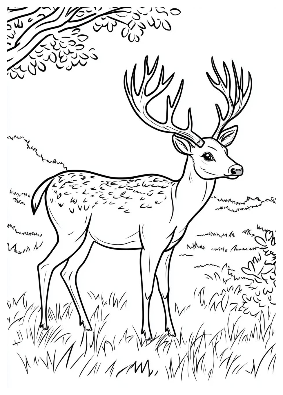 deer_coloring_pages_15