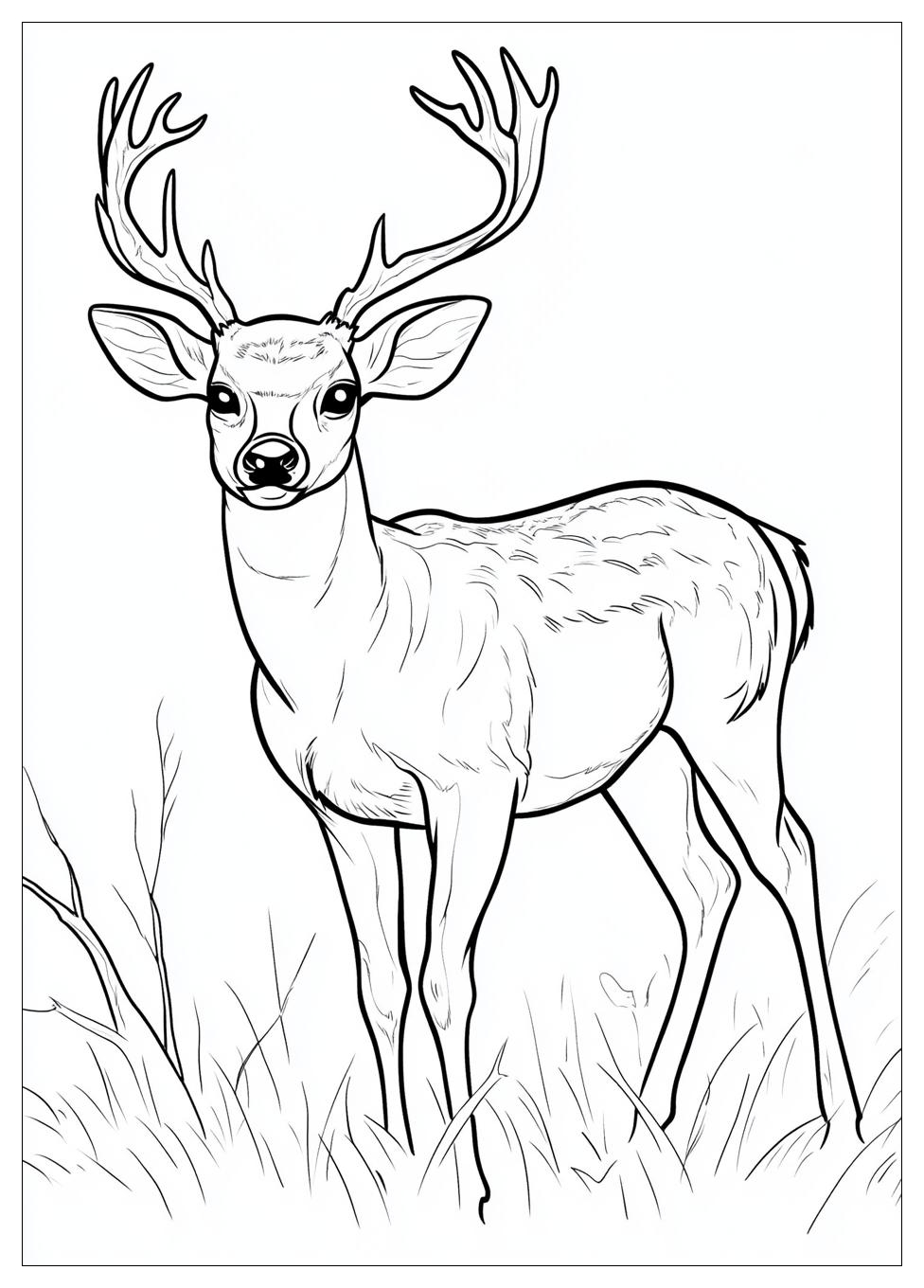 deer_coloring_pages_16