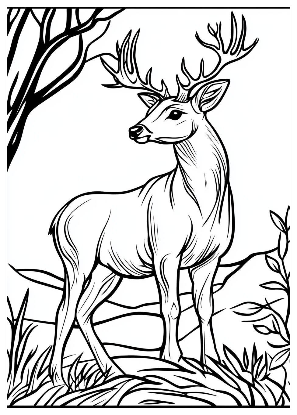 deer_coloring_pages_17