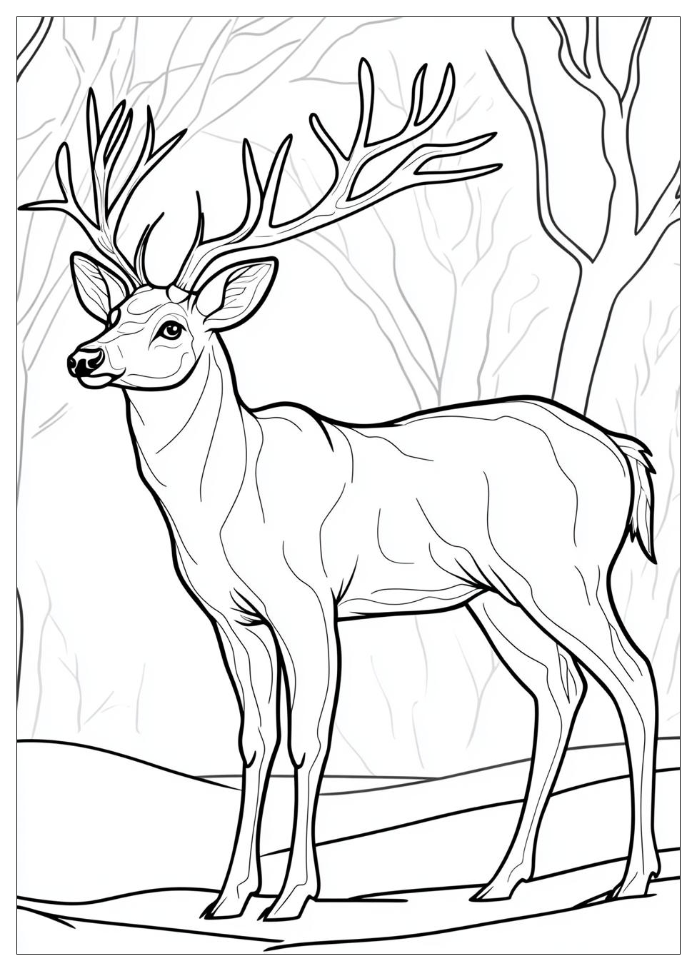 deer_coloring_pages_19