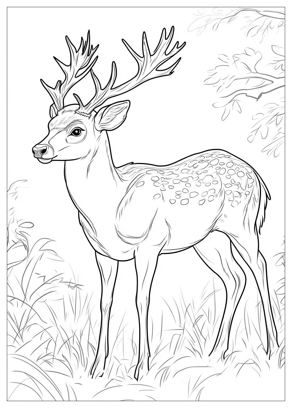 deer_coloring_pages_20