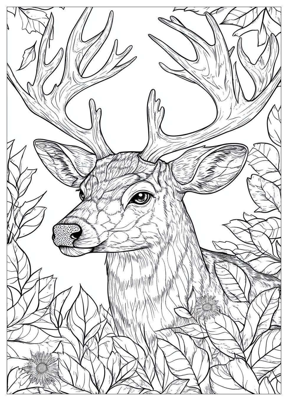 deer_coloring_pages_22