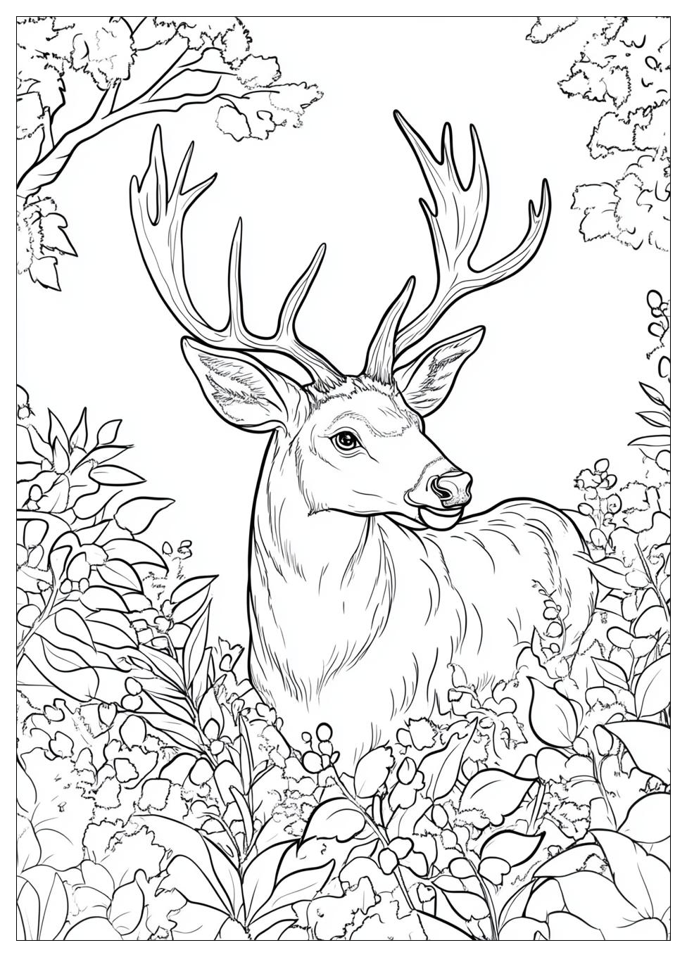 deer_coloring_pages_24