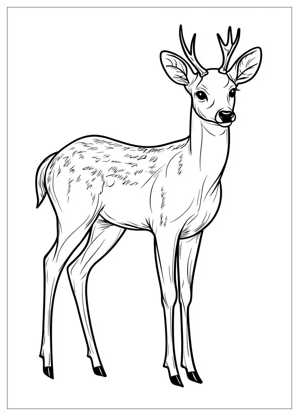 deer_coloring_pages_4