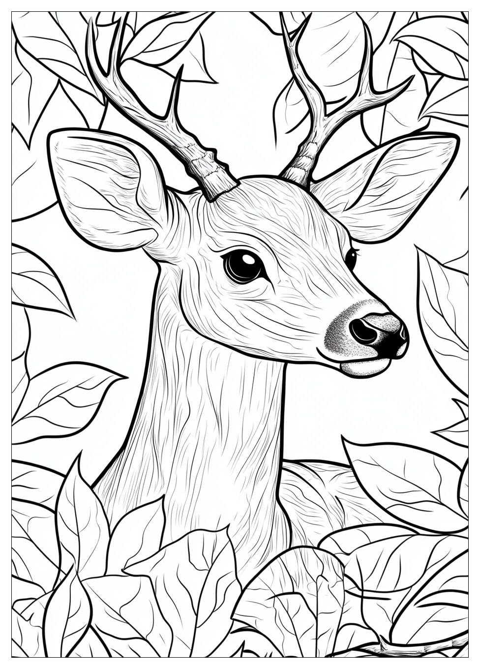 deer_coloring_pages_7