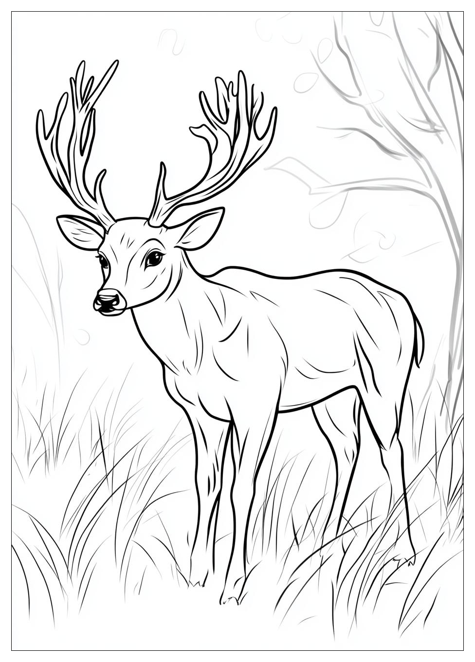 deer_coloring_pages_8