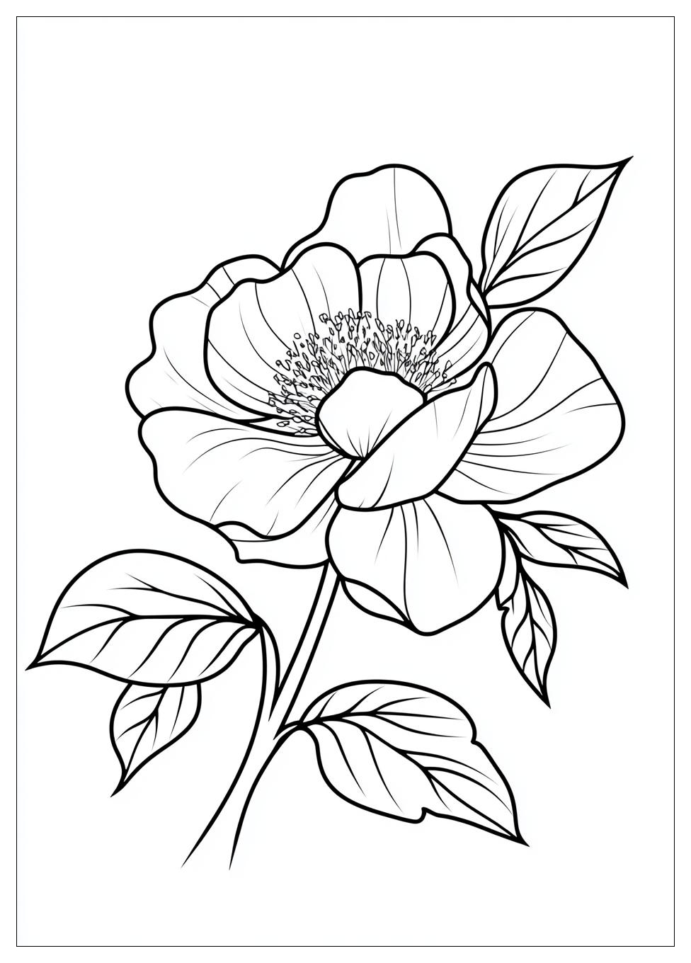 dot_coloring_pages_23