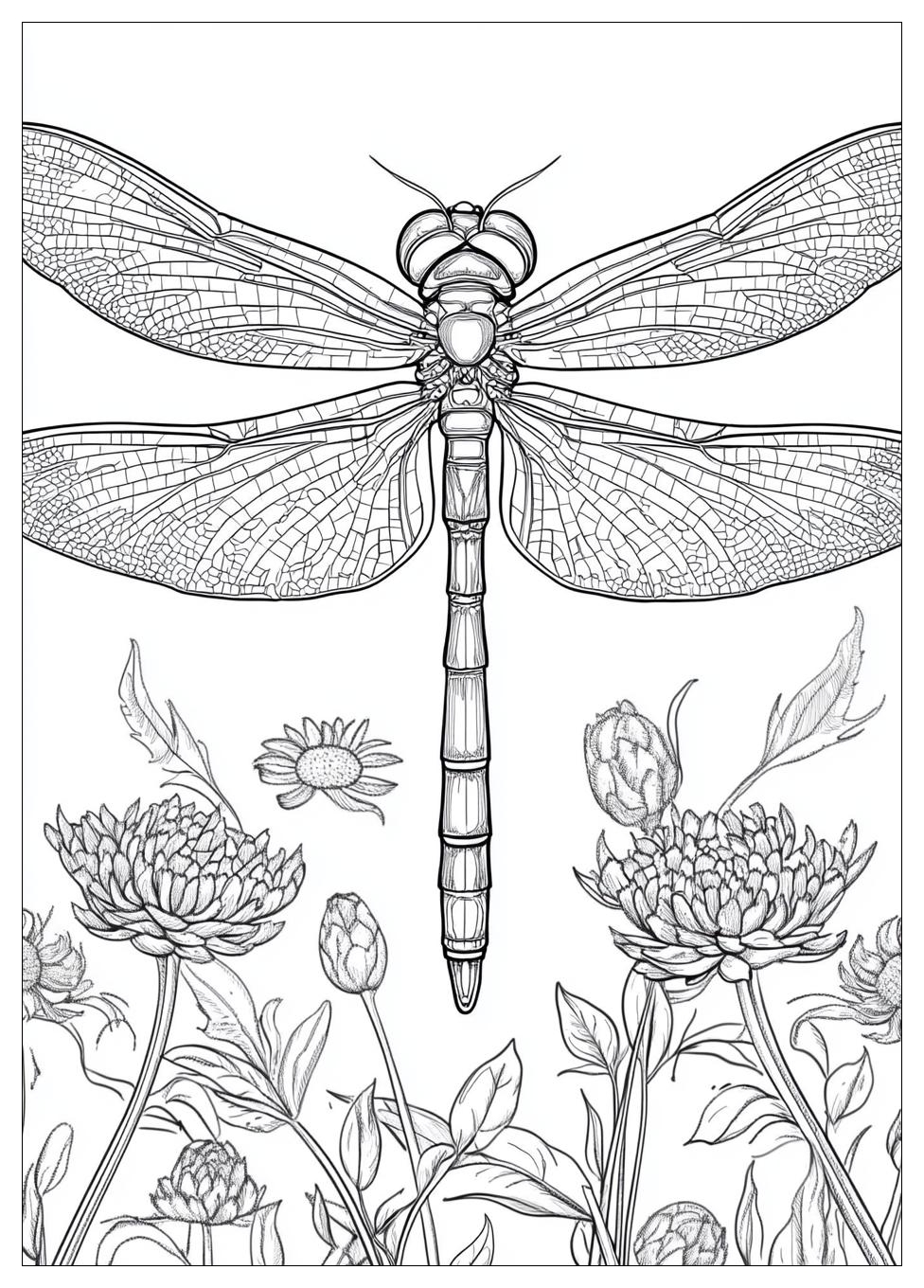 dragonfly_coloring_pages_1