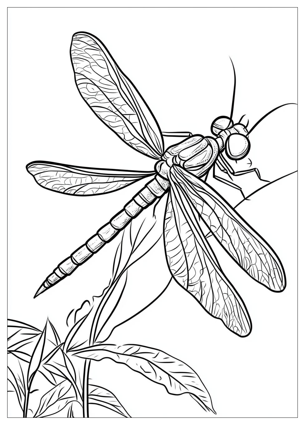 dragonfly_coloring_pages_10