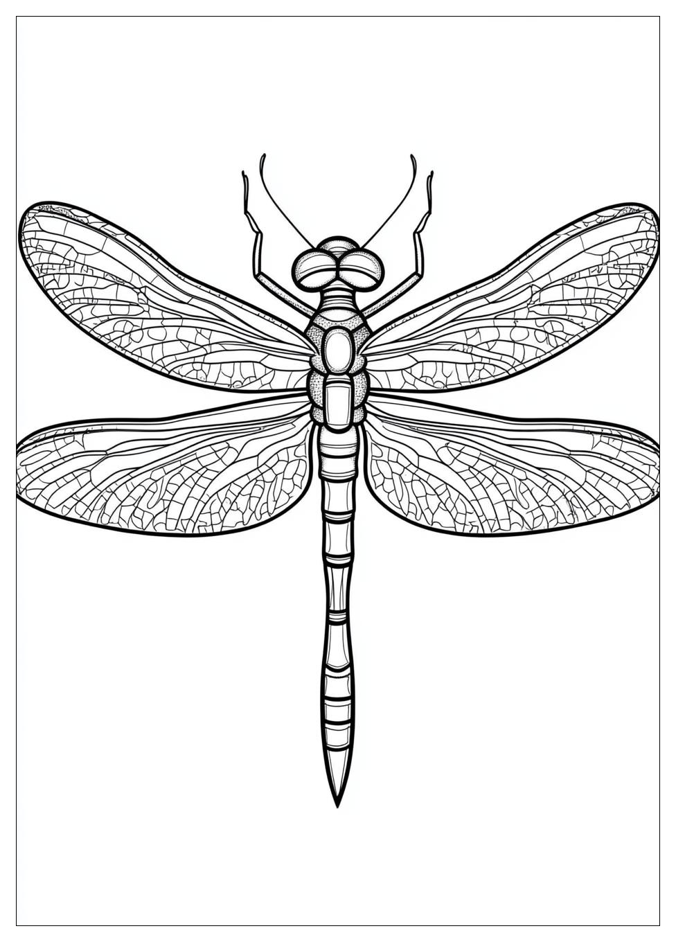 dragonfly_coloring_pages_12