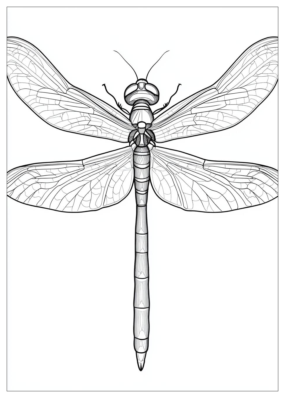 dragonfly_coloring_pages_15