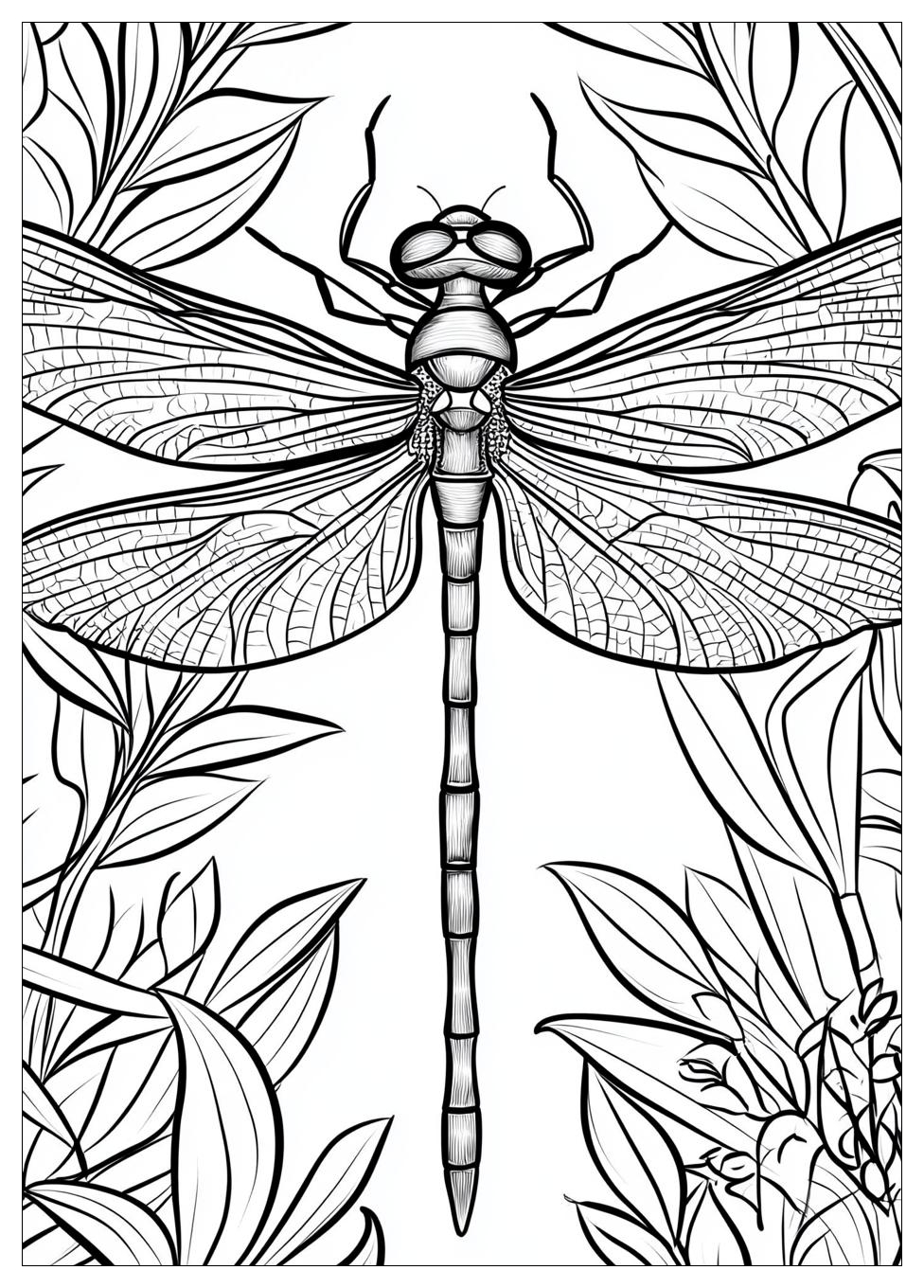 dragonfly_coloring_pages_17