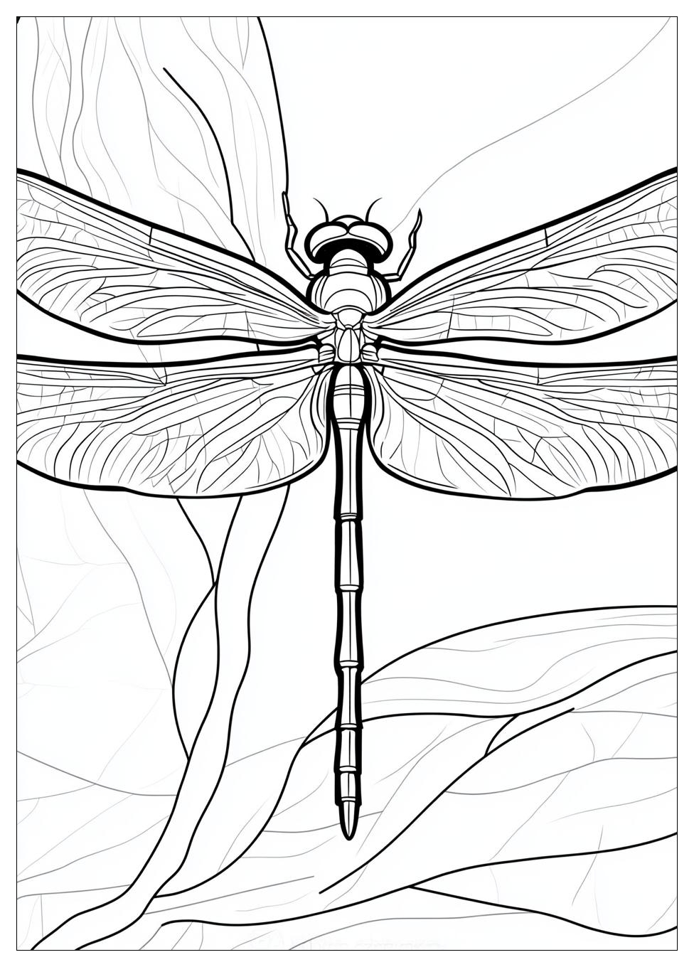 dragonfly_coloring_pages_18