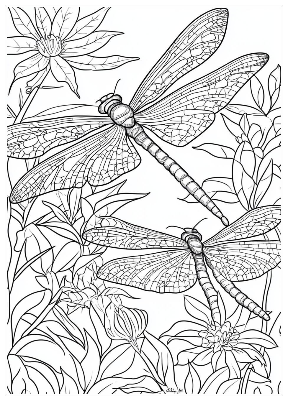 dragonfly_coloring_pages_21