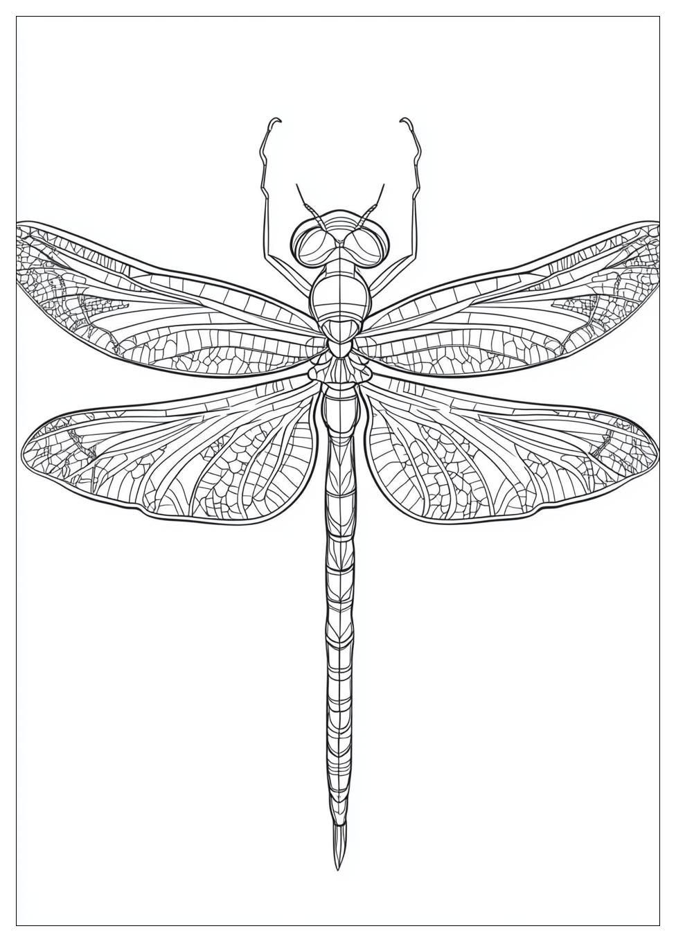 dragonfly_coloring_pages_22