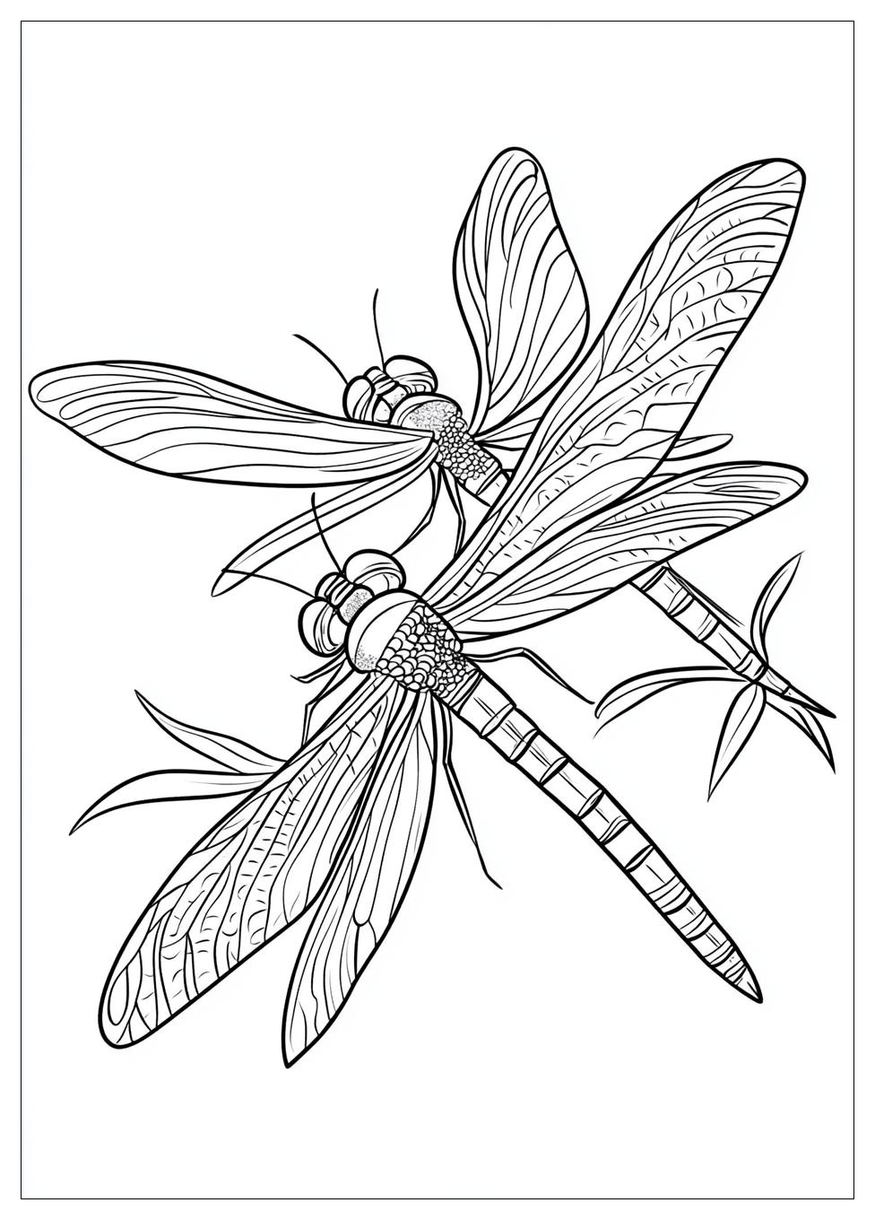 dragonfly_coloring_pages_24