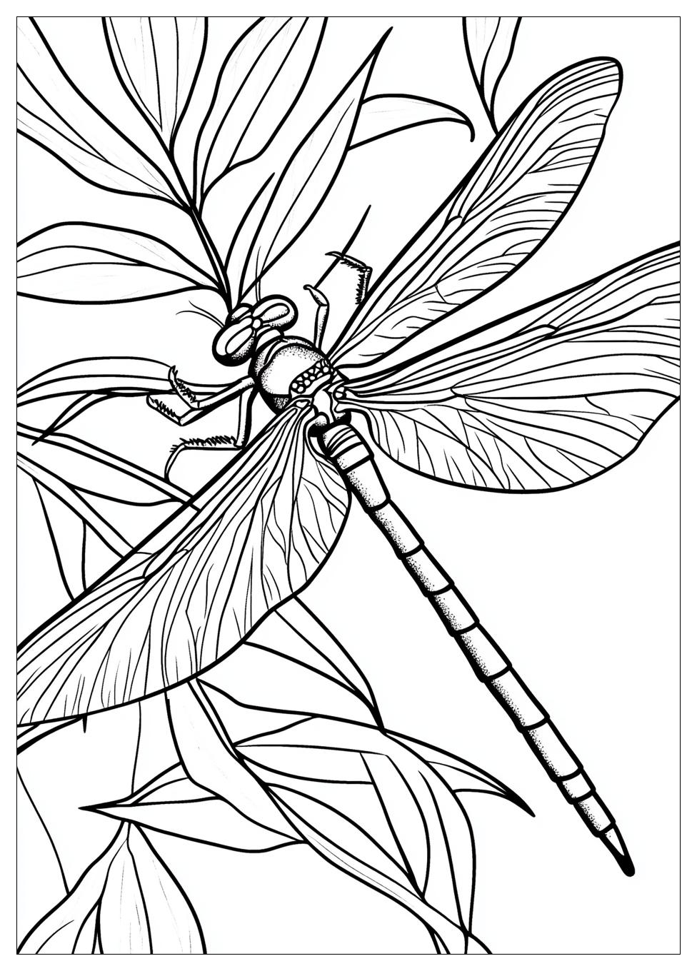 dragonfly_coloring_pages_3