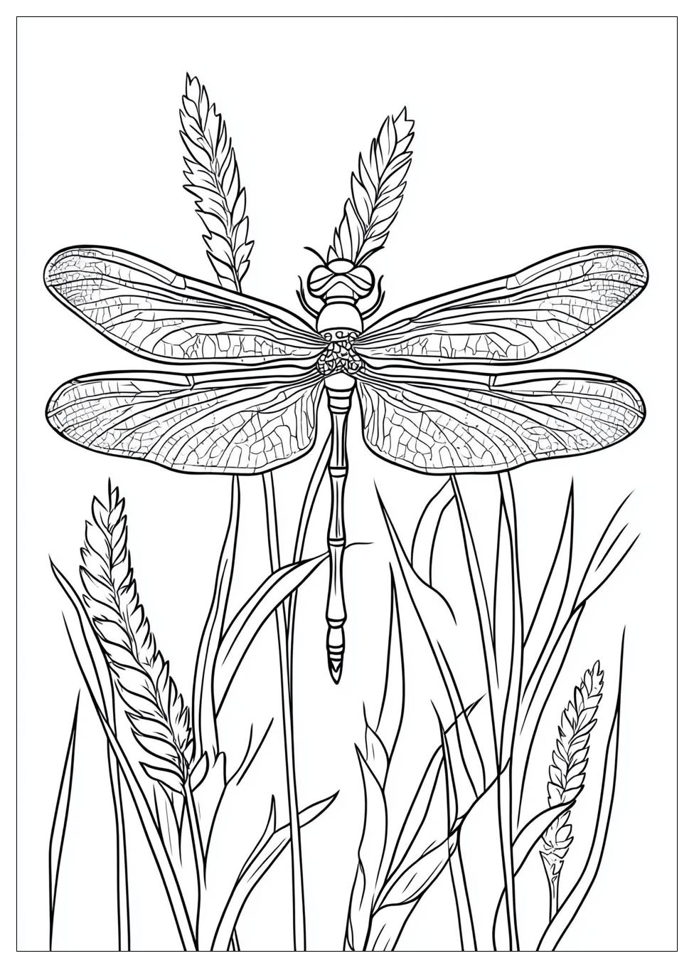 dragonfly_coloring_pages_4