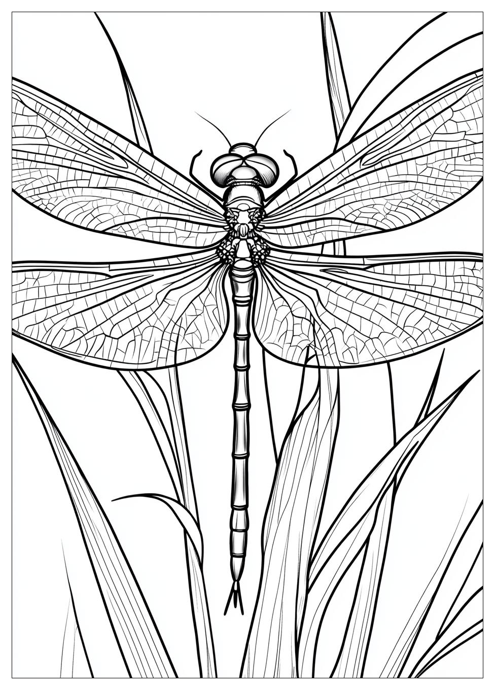 dragonfly_coloring_pages_6