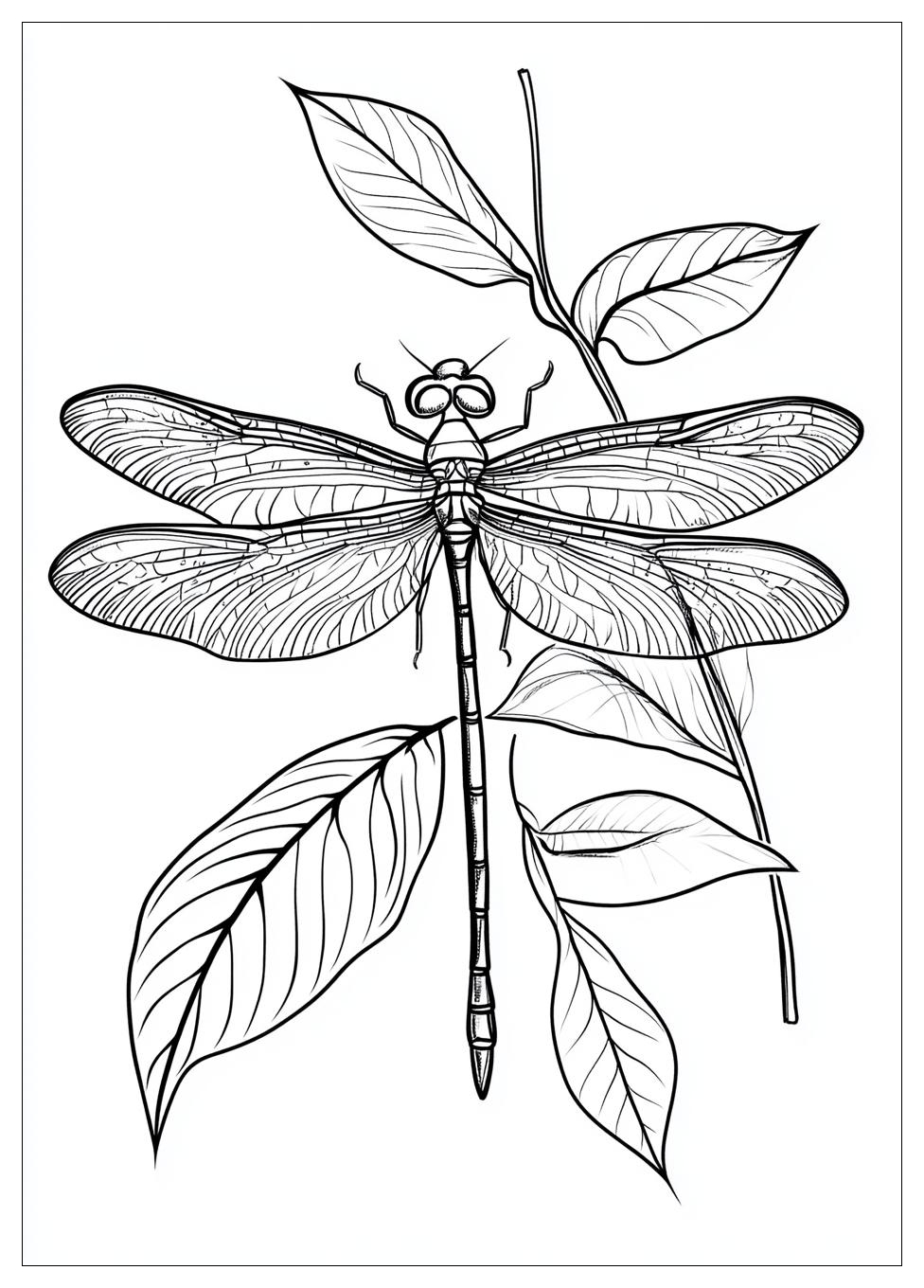 dragonfly_coloring_pages_7