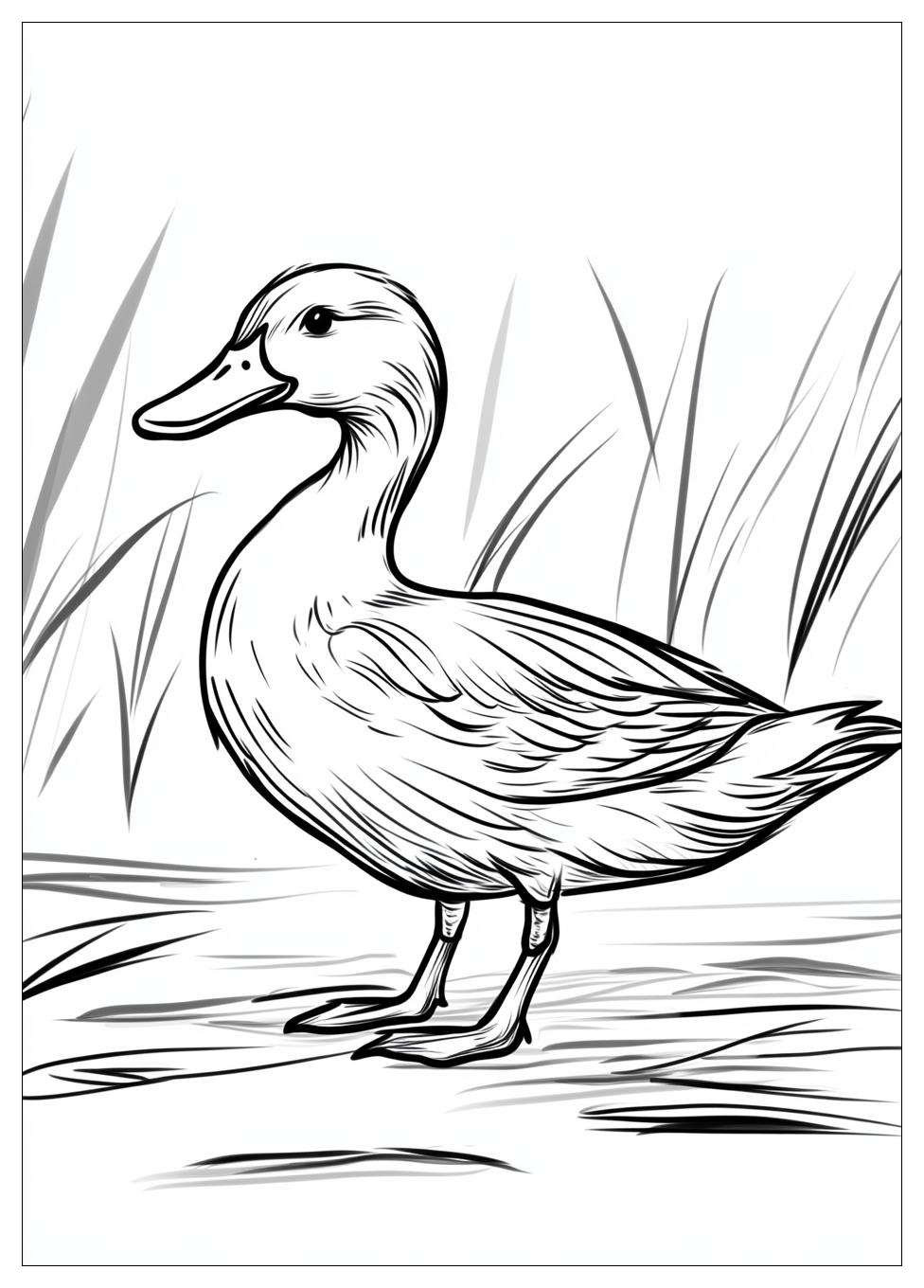 duck_coloring_pages_10