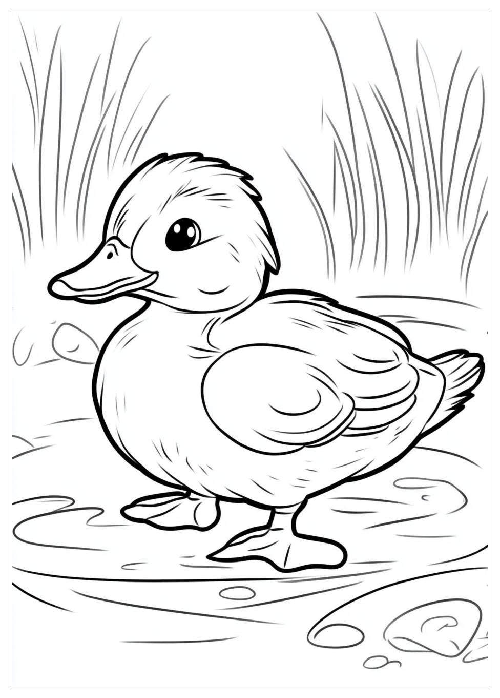 duck_coloring_pages_11