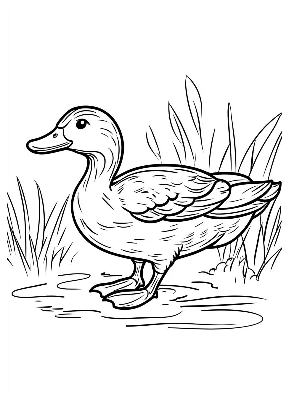 duck_coloring_pages_19