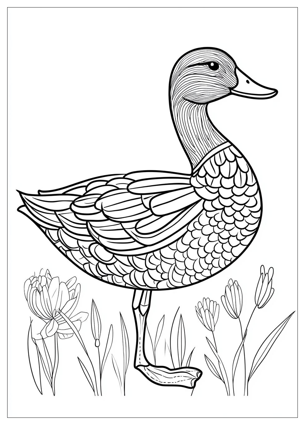 duck_coloring_pages_21