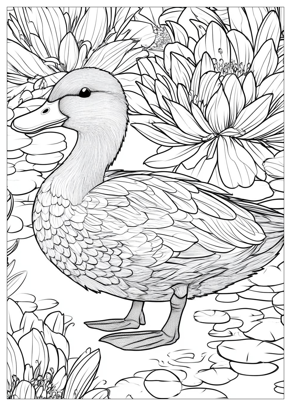 duck_coloring_pages_22