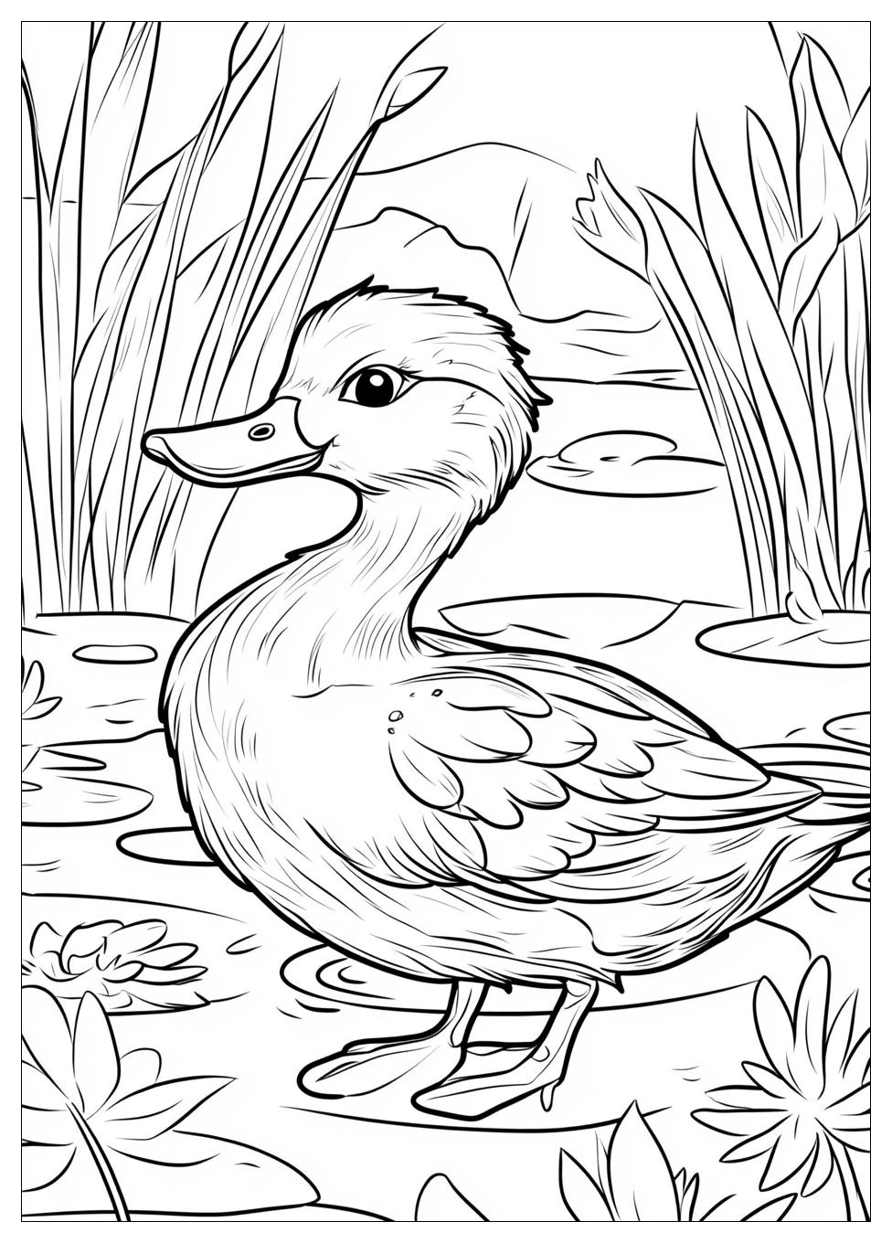 duck_coloring_pages_23