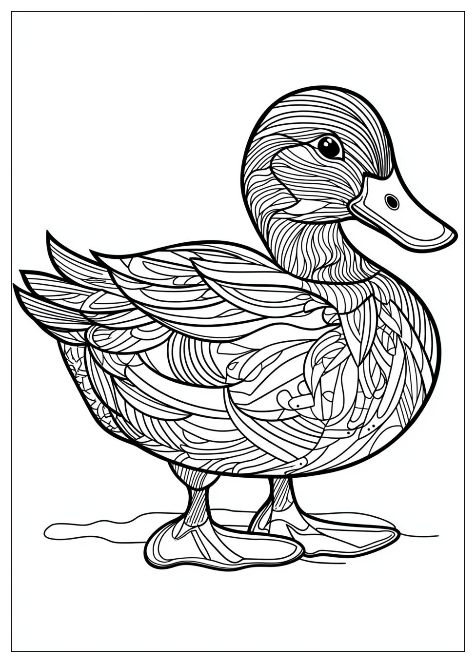 duck_coloring_pages_24