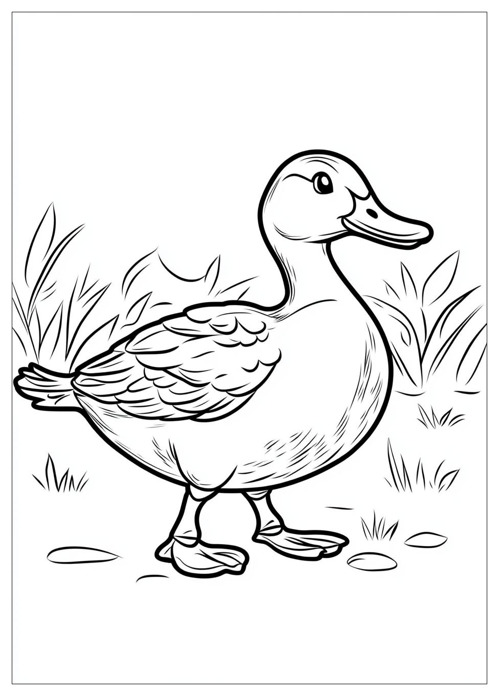 duck_coloring_pages_4