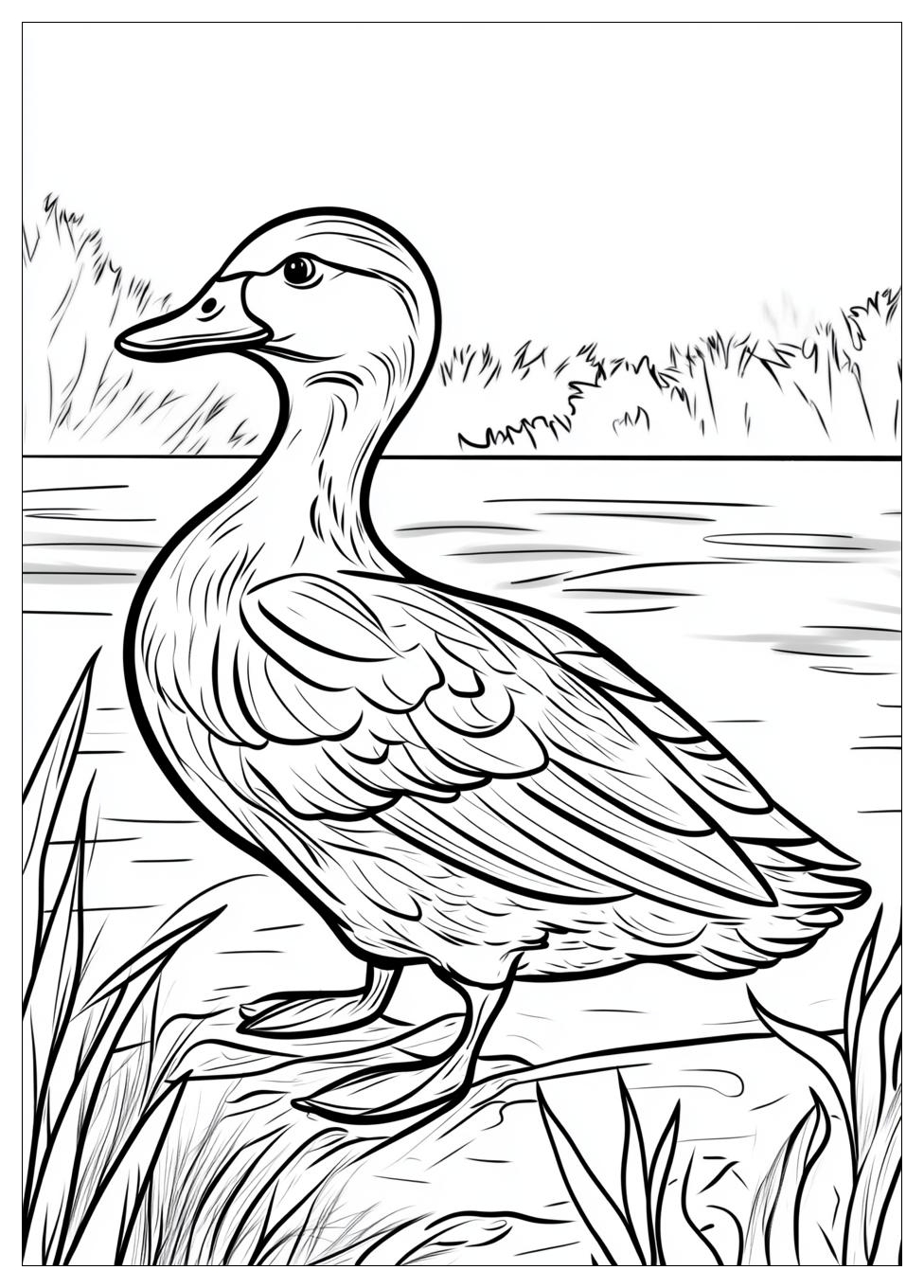 duck_coloring_pages_7