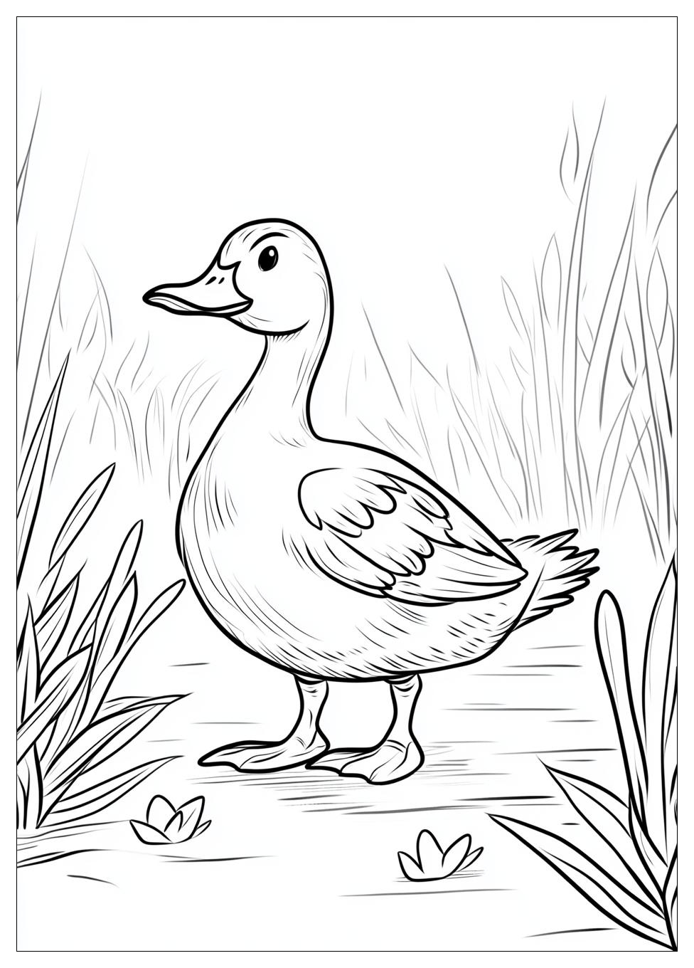 duck_coloring_pages_8