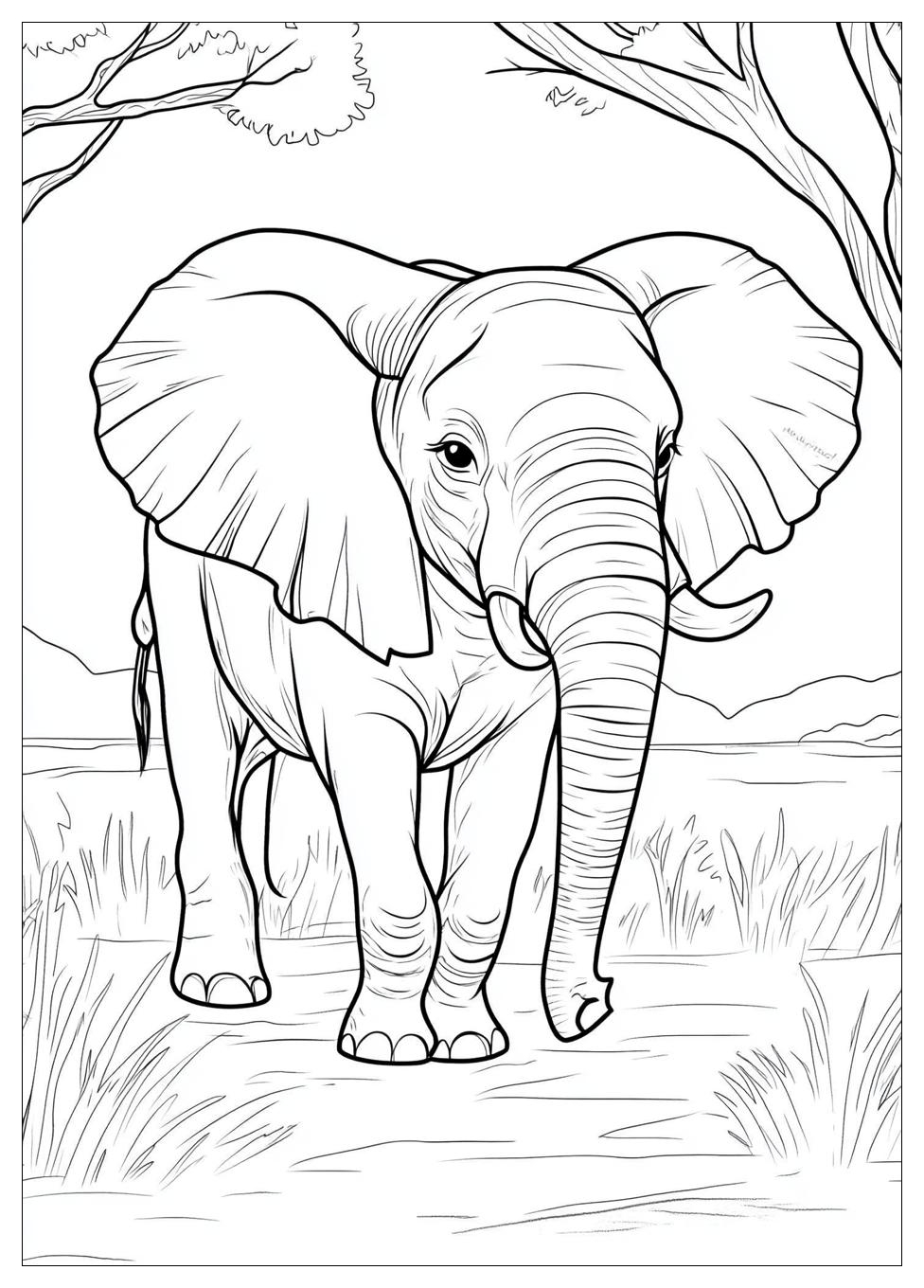 elephant_coloring_pages_4