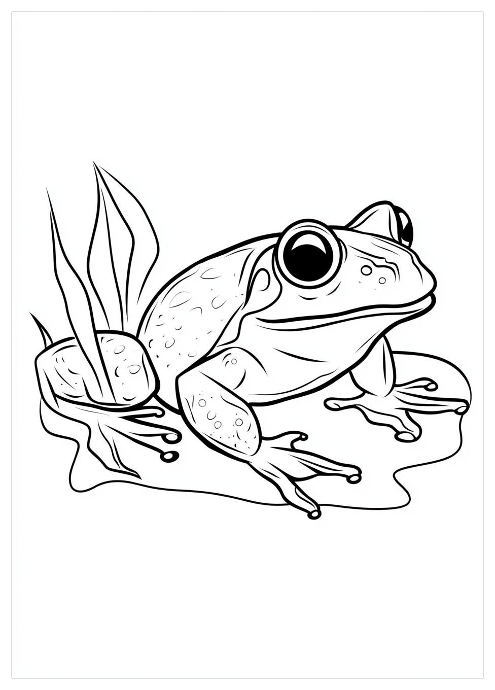 frog_coloring_pages_12